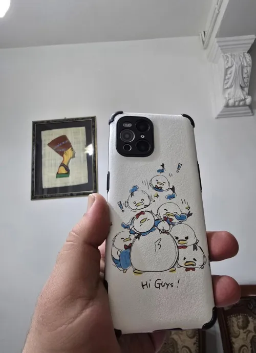 Oppo Find x3 pro photographer edition
