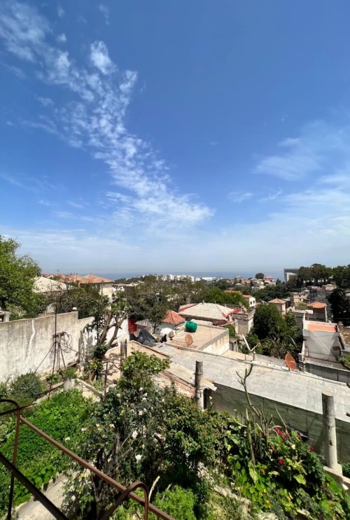 Vente Terrain Alger El biar