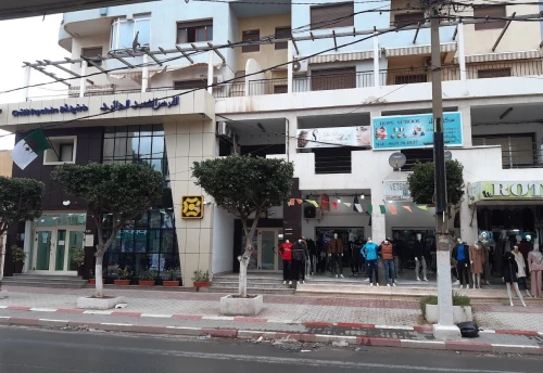 Vente Terrain Tipaza Bou ismail