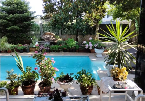 Location Appartement F4 Alger Hydra