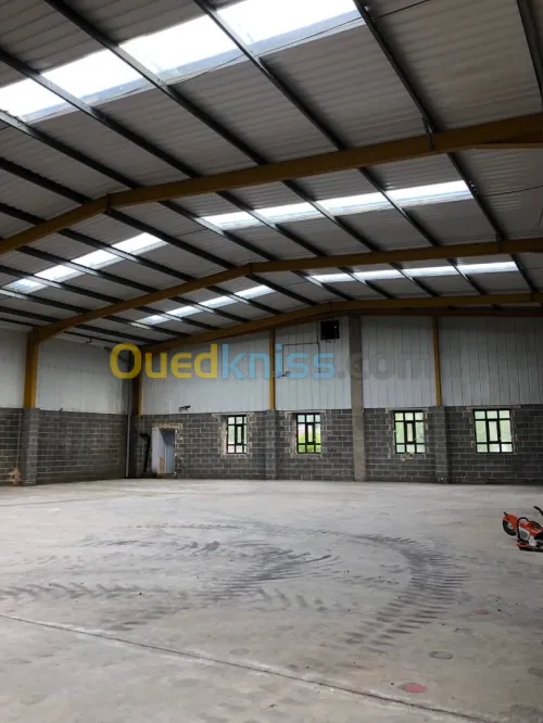 Vente Hangar Alger Tessala el merdja