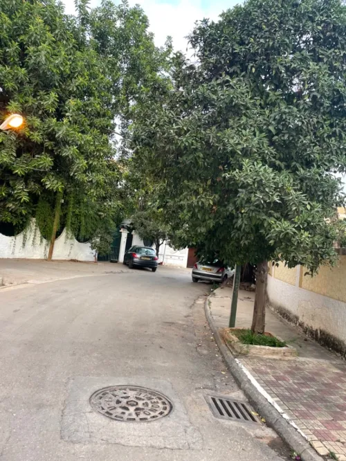 Location Villa Alger Kouba