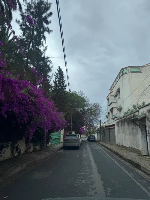 Vente Terrain Alger Hydra