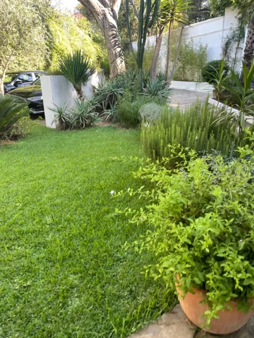Location Villa Alger Kouba