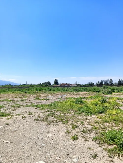 Location Terrain Blida Larbaa