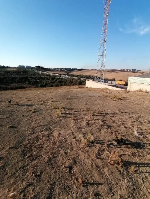 Vente Terrain Alger Douera