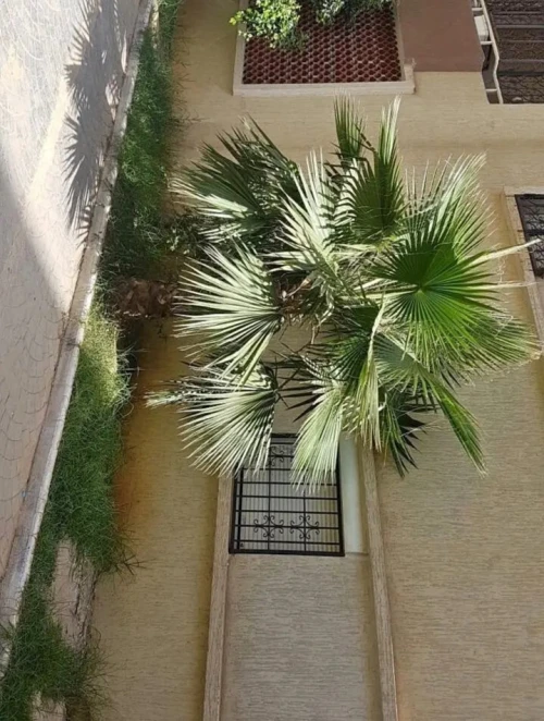 Vente Appartement F4 Alger Bordj el bahri