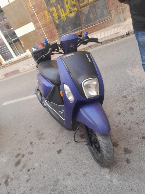 Moto Coxi 2020