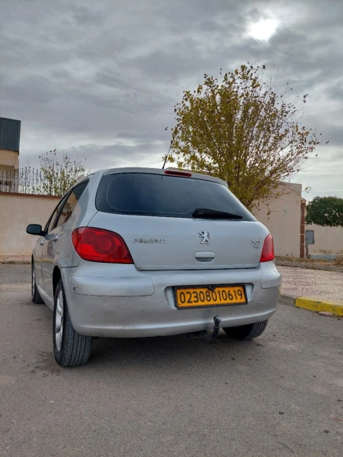 Peugeot 307 2006 Oxygo