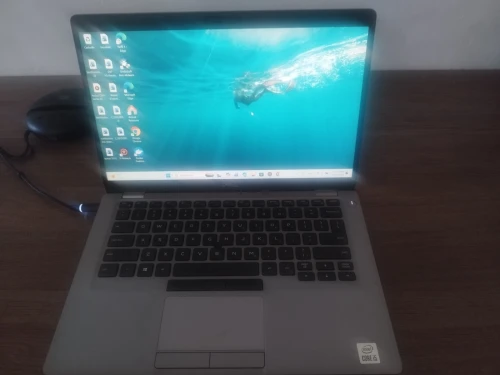Dell latitude