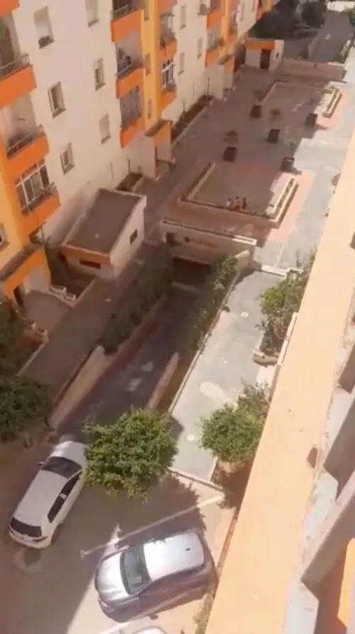Vente Appartement F3 Boumerdès Boudouaou el bahri