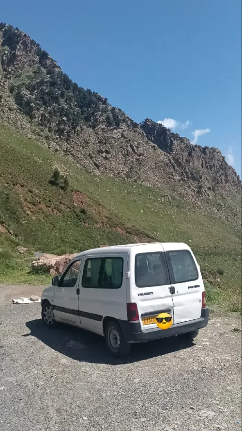 Peugeot Partner 2000 Partner