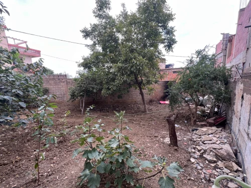 Vente Terrain Blida Guerrouaou