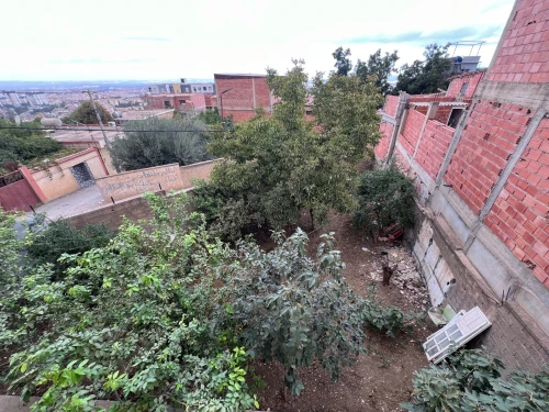 Vente Terrain Blida Guerrouaou