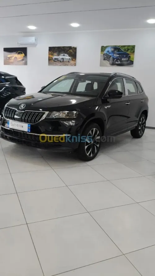 Skoda Karoq 2026 Full options