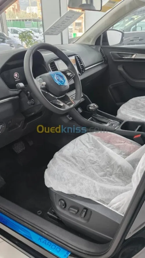 Skoda Karoq 2026 Full options