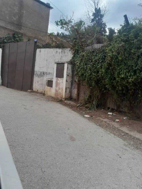 Vente Terrain Blida Chrea