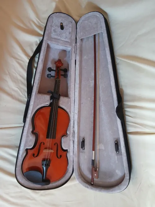 Violon 3/4 