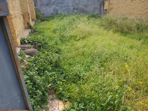 Vente Terrain Alger El biar