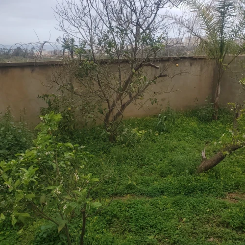 Vente Villa Alger Cheraga