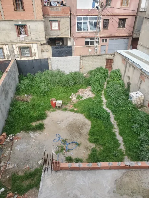 Vente Terrain Alger Reghaia