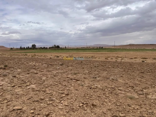 Vente Terrain Agricole Laghouat Tadjemout