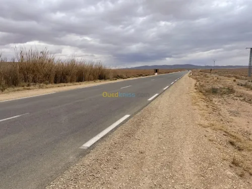 Vente Terrain Agricole Laghouat Tadjemout