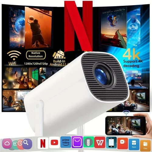داطاشو projecteur smart