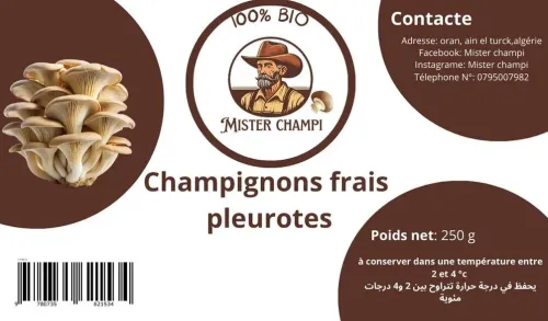Champignons de pleurotes 