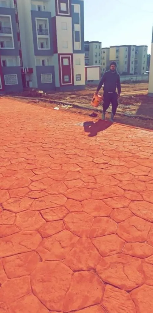  بيطون امبريمي الجزائر 