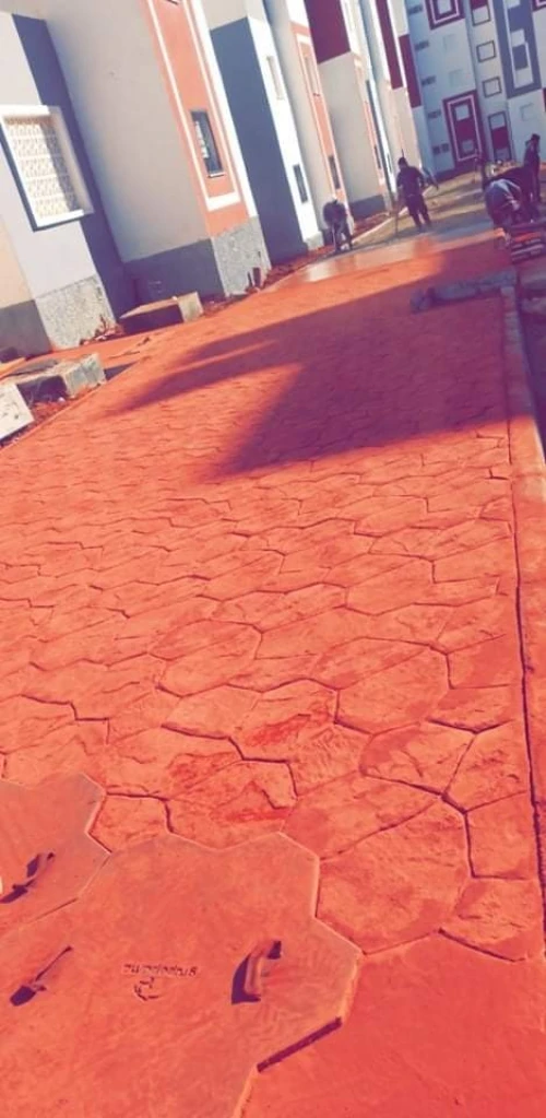  بيطون امبريمي الجزائر 