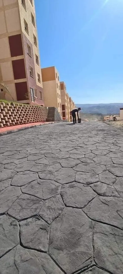  بيطون امبريمي الجزائر 