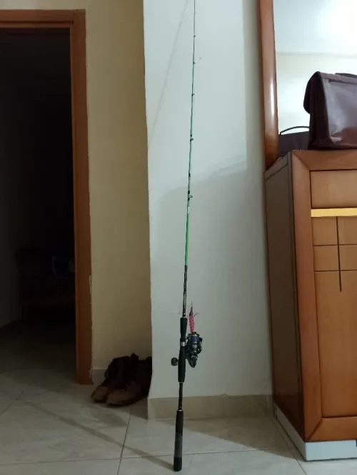 Canne à pêche et moulinet 