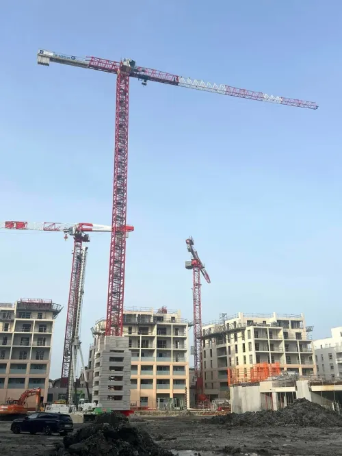 Soima grue a tour رافعة برجية 