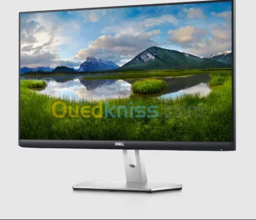Écran Dell 23.8" IPS Full HD HDMI S2421HN Élégance et Haute Qualité