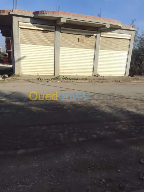 Location Local Blida Bouinan