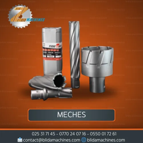 MECHES