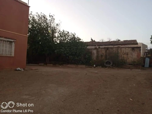 Vente Terrain Aïn Defla Ain soltane
