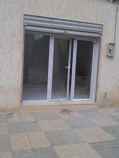 Location Local Tlemcen Mansourah