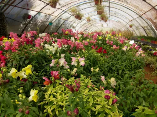 Jardinage