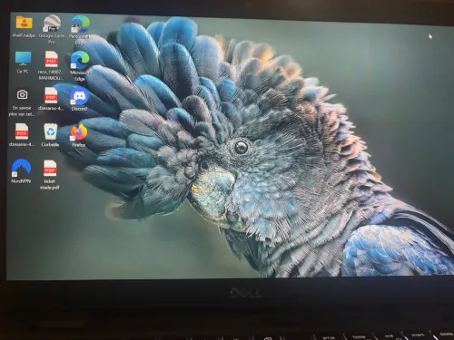 Dell 