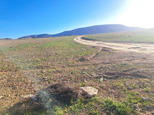 Vente Terrain Sétif Guidjel