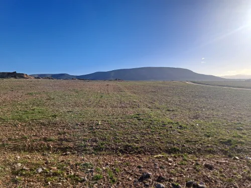 Vente Terrain Sétif Guidjel