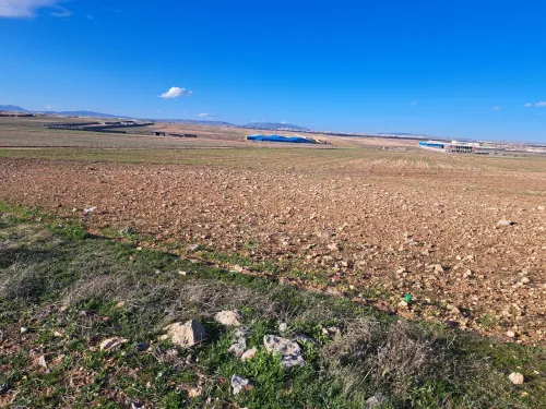 Vente Terrain Sétif Guidjel