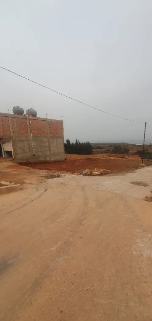 Vente Terrain Mostaganem Hadjadj