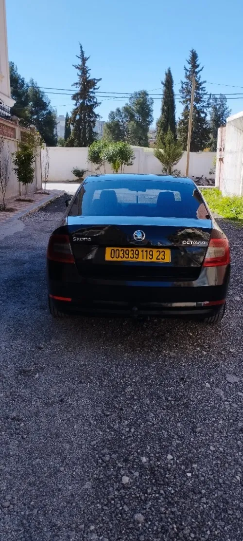 Skoda Octavia 2019 Business