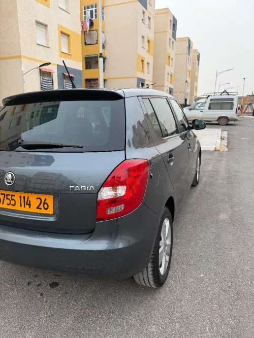 Skoda Fabia 2014 Fresh
