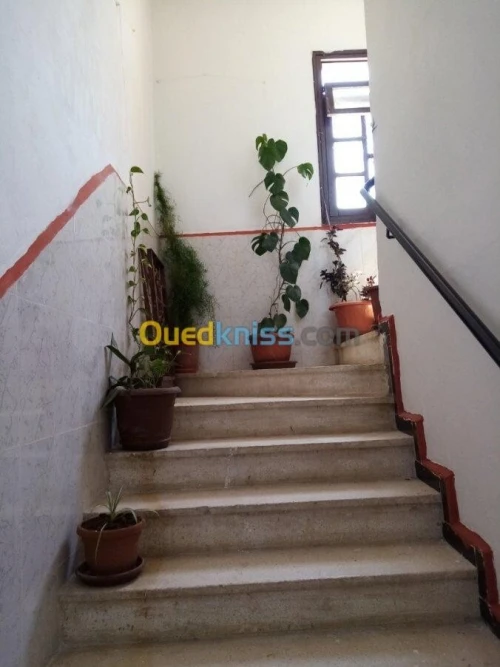 Vente Appartement F3 Alger Les eucalyptus