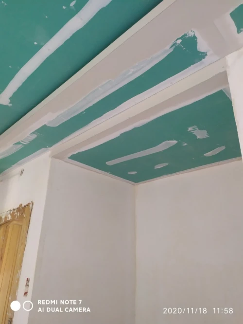 Travaux de plâtre  projeter  prochti