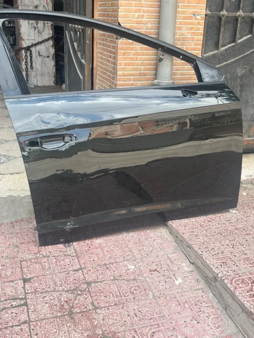 Porte côti daroit lion fR 2019